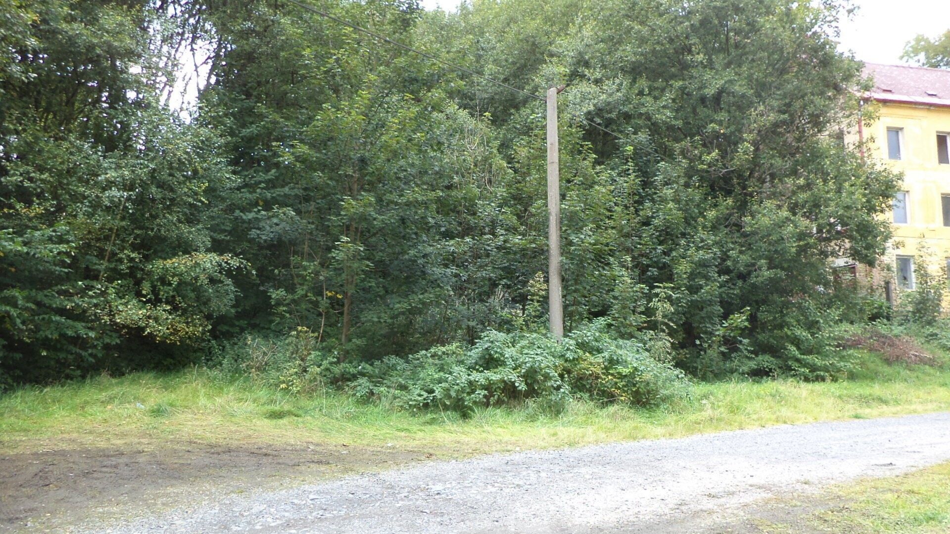 Ostatní, Aš, 1 m²