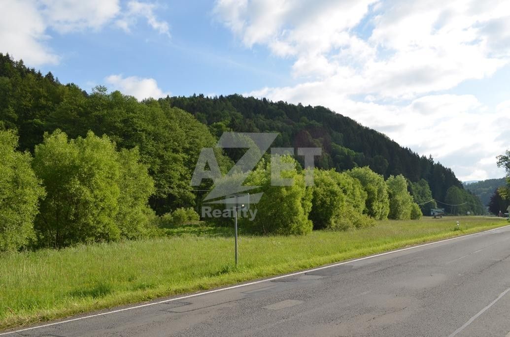 Prodej pozemek pro bydlení - Potůčník, Hanušovice, 4 500 m²