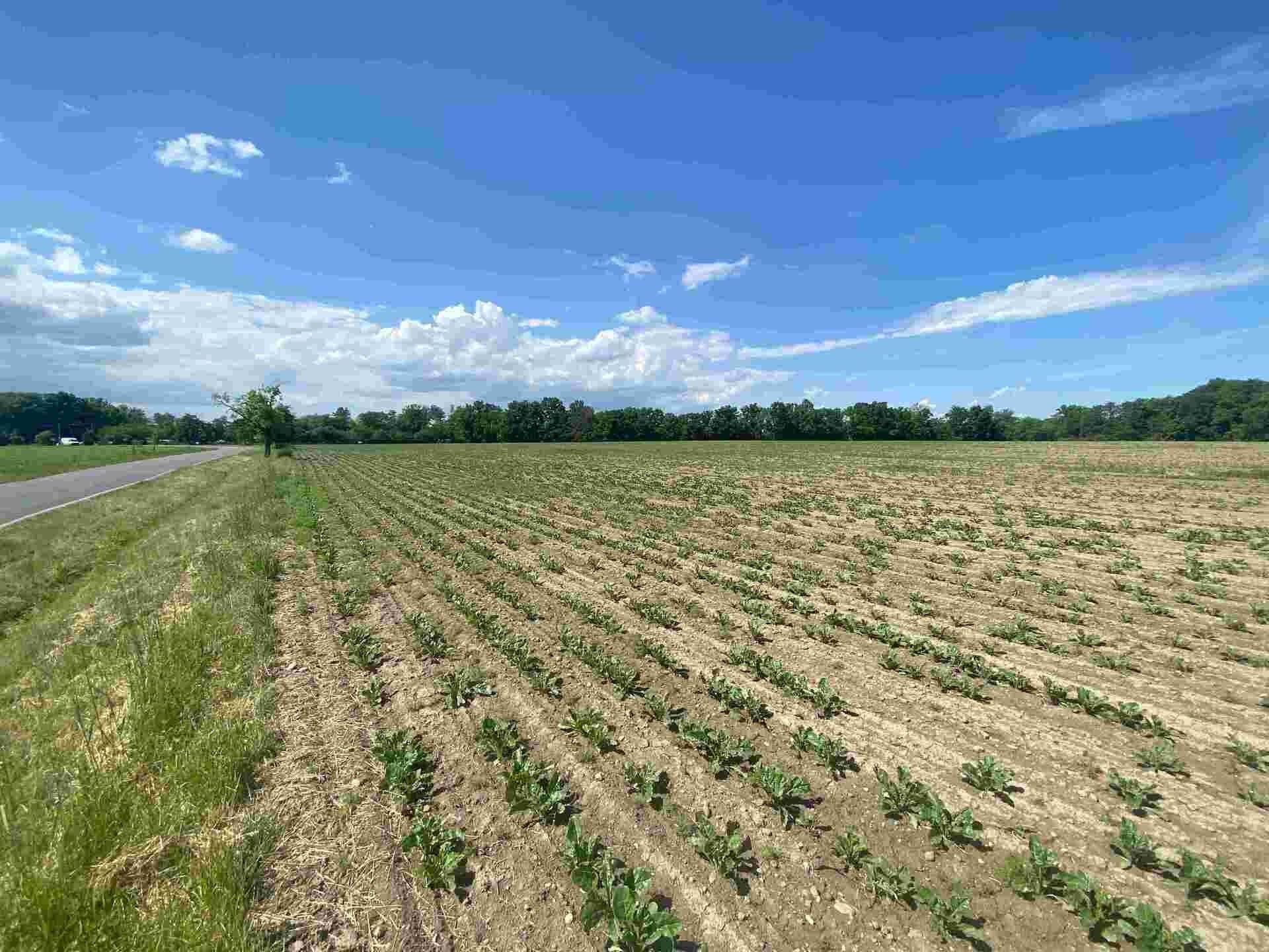 Ostatní, Dolní Životice, 1 m²