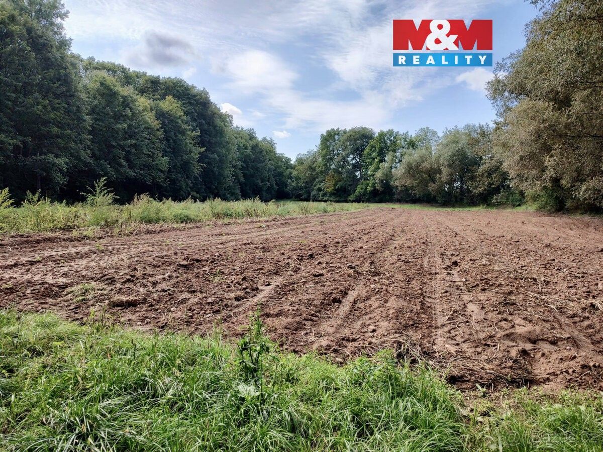 Pozemky pro bydlení, Žatec, 438 01