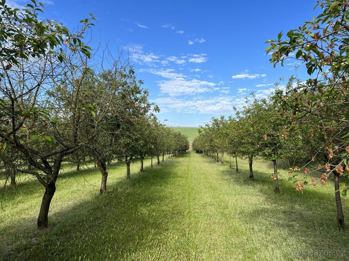 Prodej pozemek - Kobylí na Moravě, 691 10, 3 808 m²