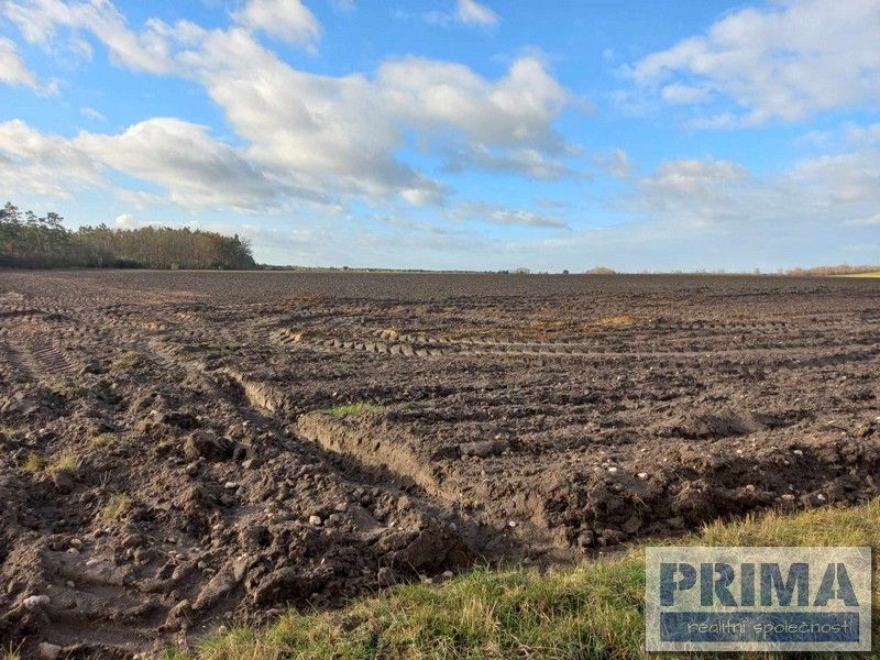 Zemědělské pozemky, Vápno u Přelouče, 533 16, 3 811 m²