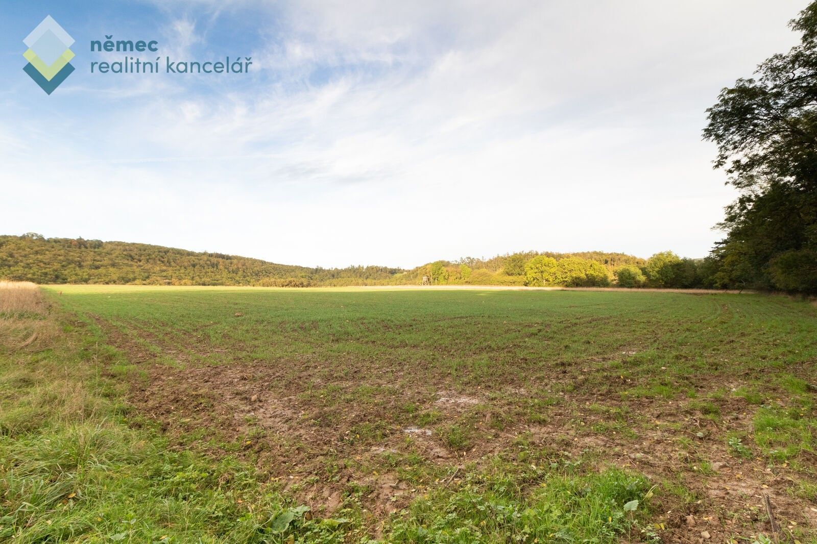 Prodej zemědělský pozemek - Dobřichovice, 4 316 m²