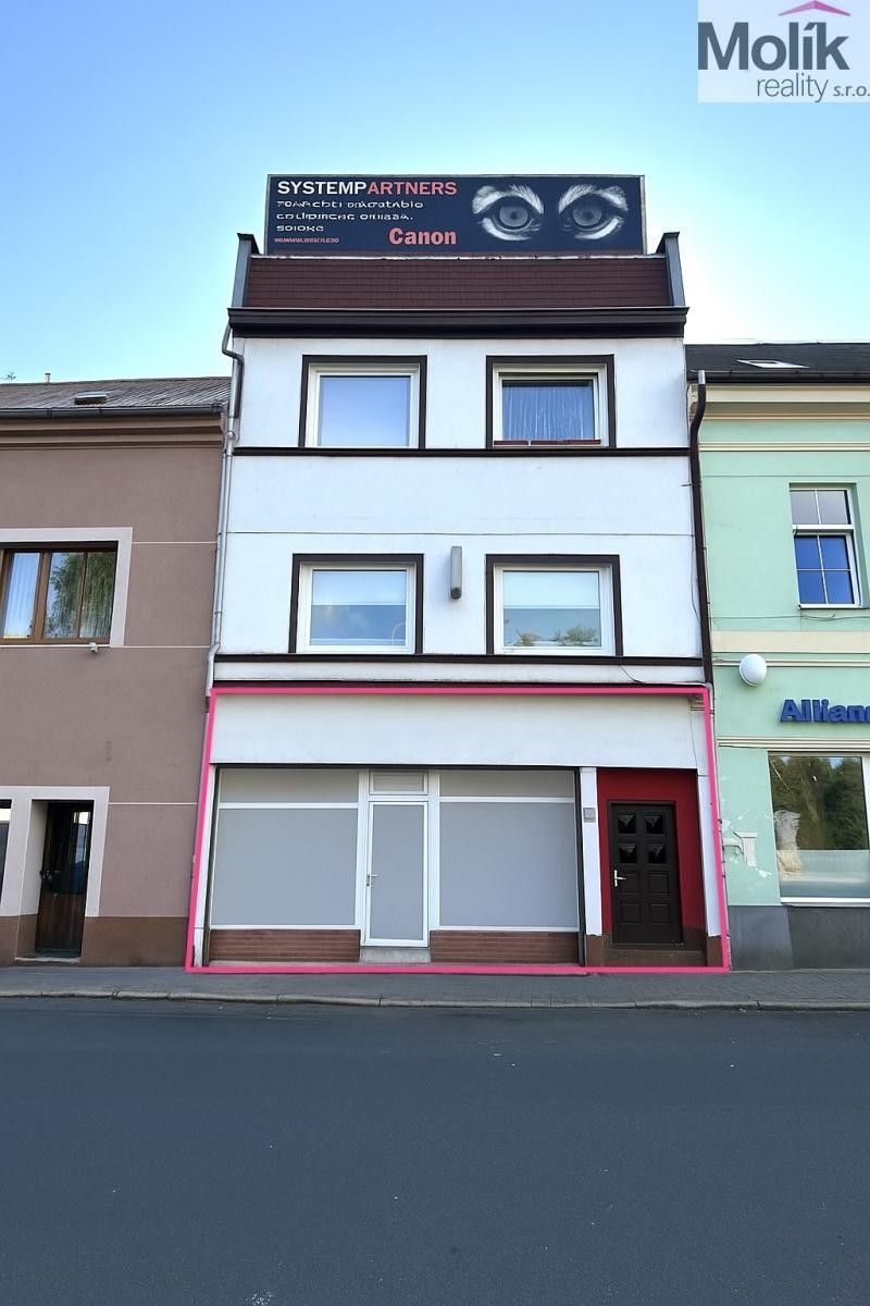 Obchodní prostory, Masarykova třída, Teplice, 110 m²