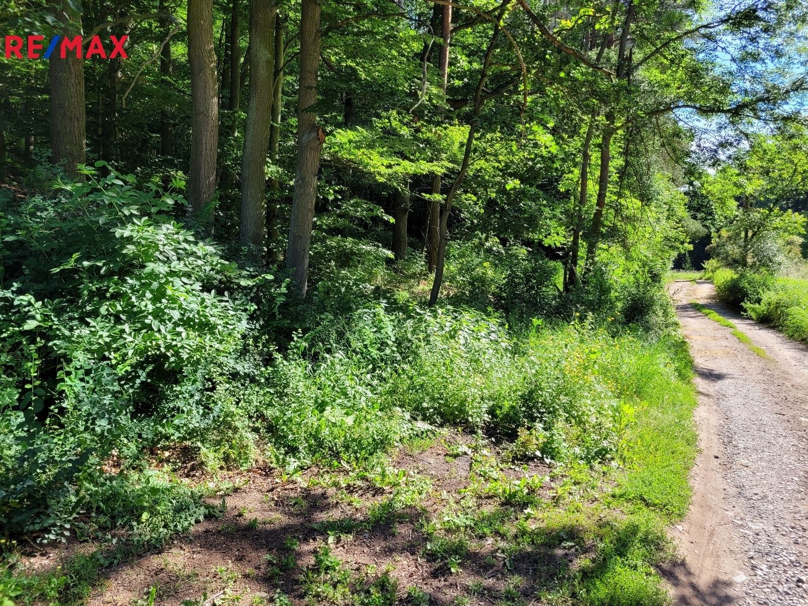 Prodej pozemek pro bydlení - Chyňava, 1 m²