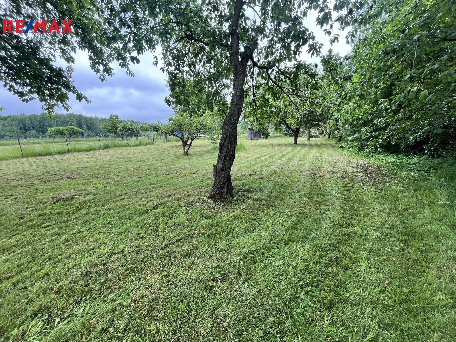 Prodej zahrada - Křinice, 1 m²