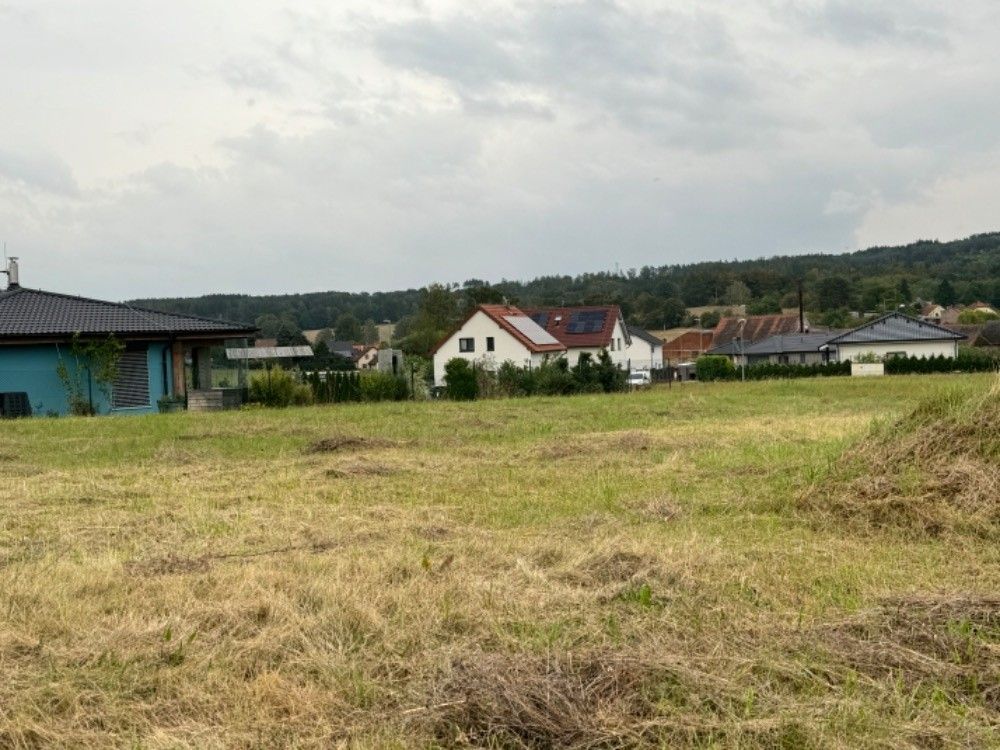 Ostatní, Plzeň, 301 00, 1 000 m²