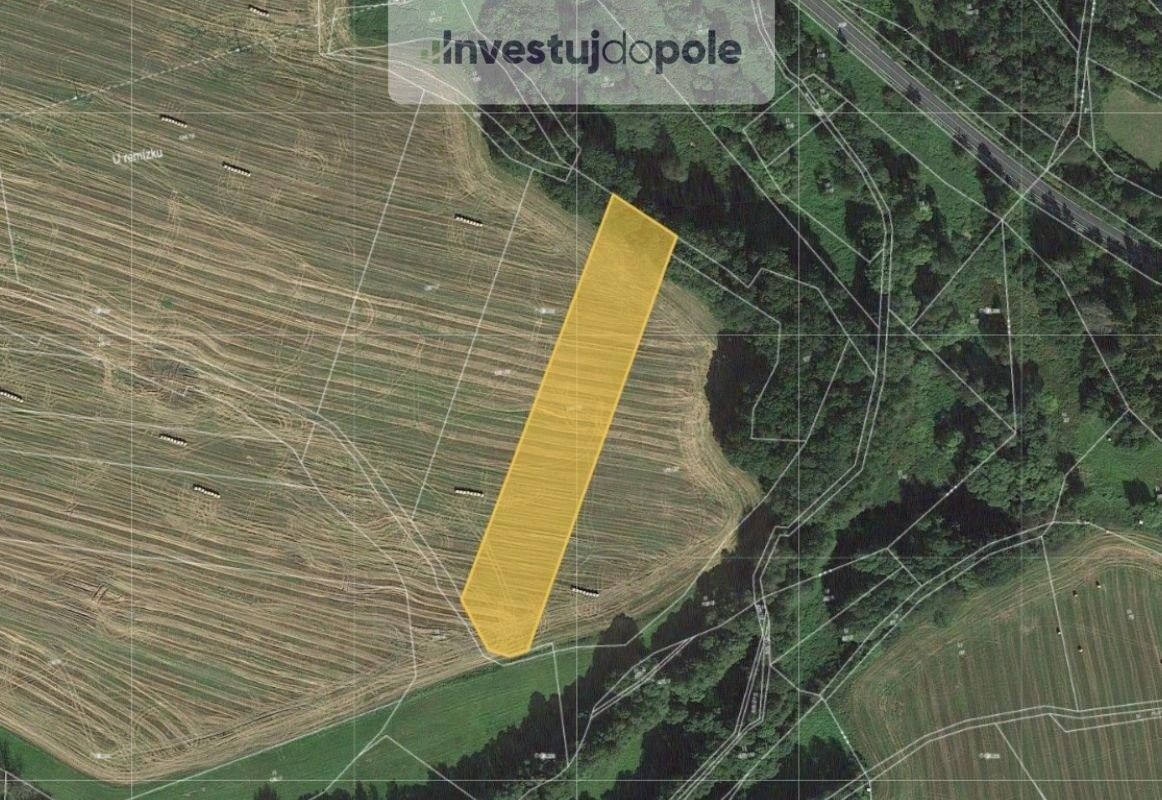 Prodej zemědělský pozemek - Nepomuk, 335 01, 3 445 m²