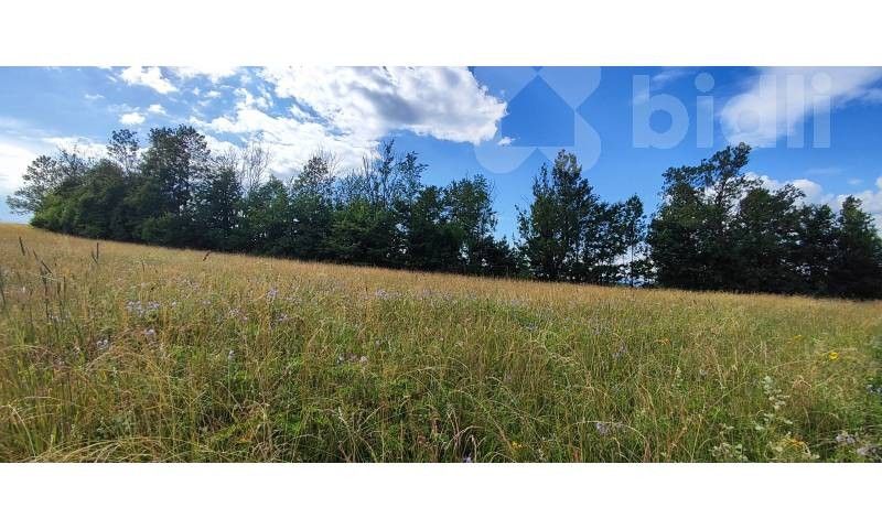 Pozemky pro bydlení, Dolní Lánov