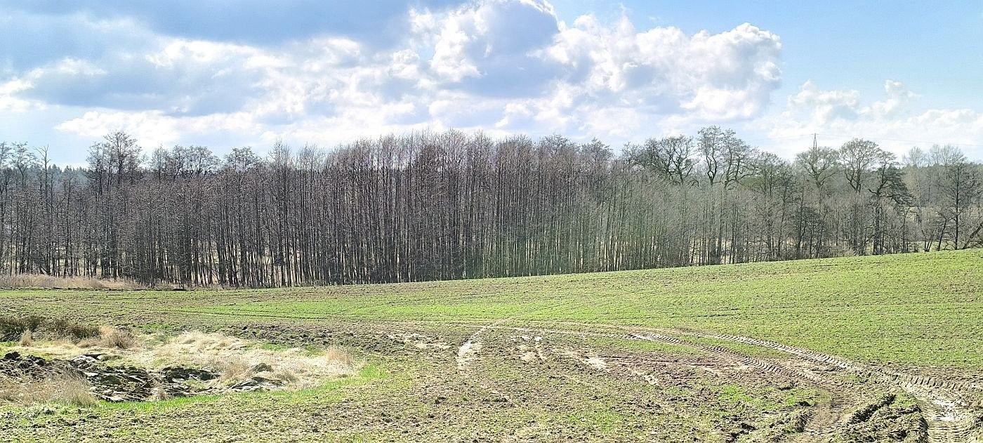 Prodej pozemek - Poustka