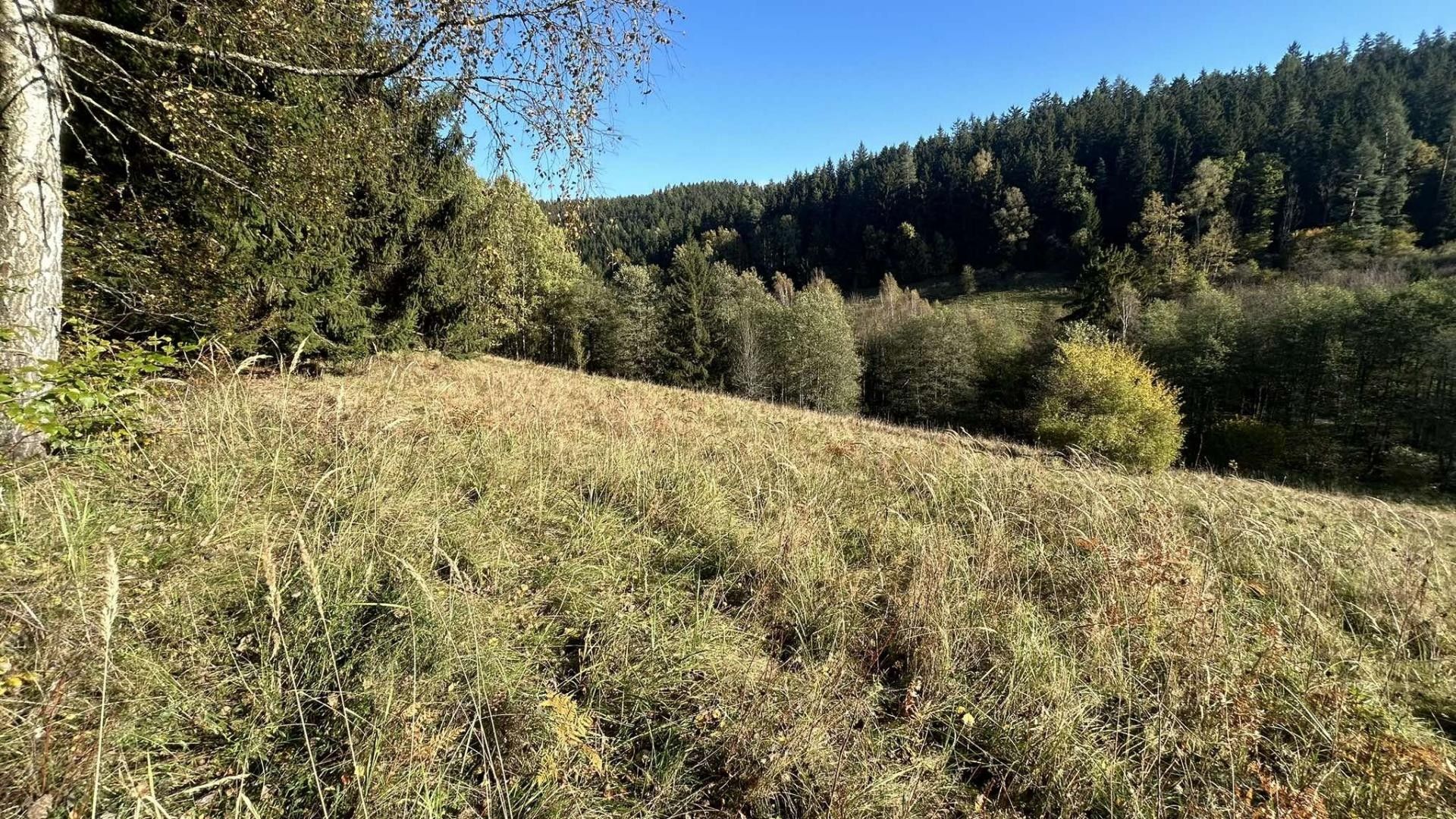 Louky, Prostřední Staré Buky, Staré Buky