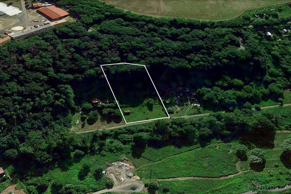 Prodej pozemek pro bydlení - Dolní Cetno, 294 30, 3 313 m²