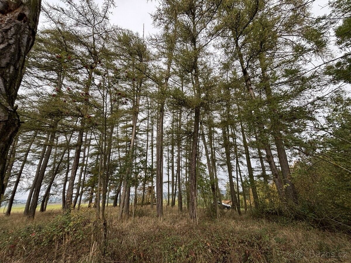 Pozemky pro bydlení, Horažďovice, 341 01