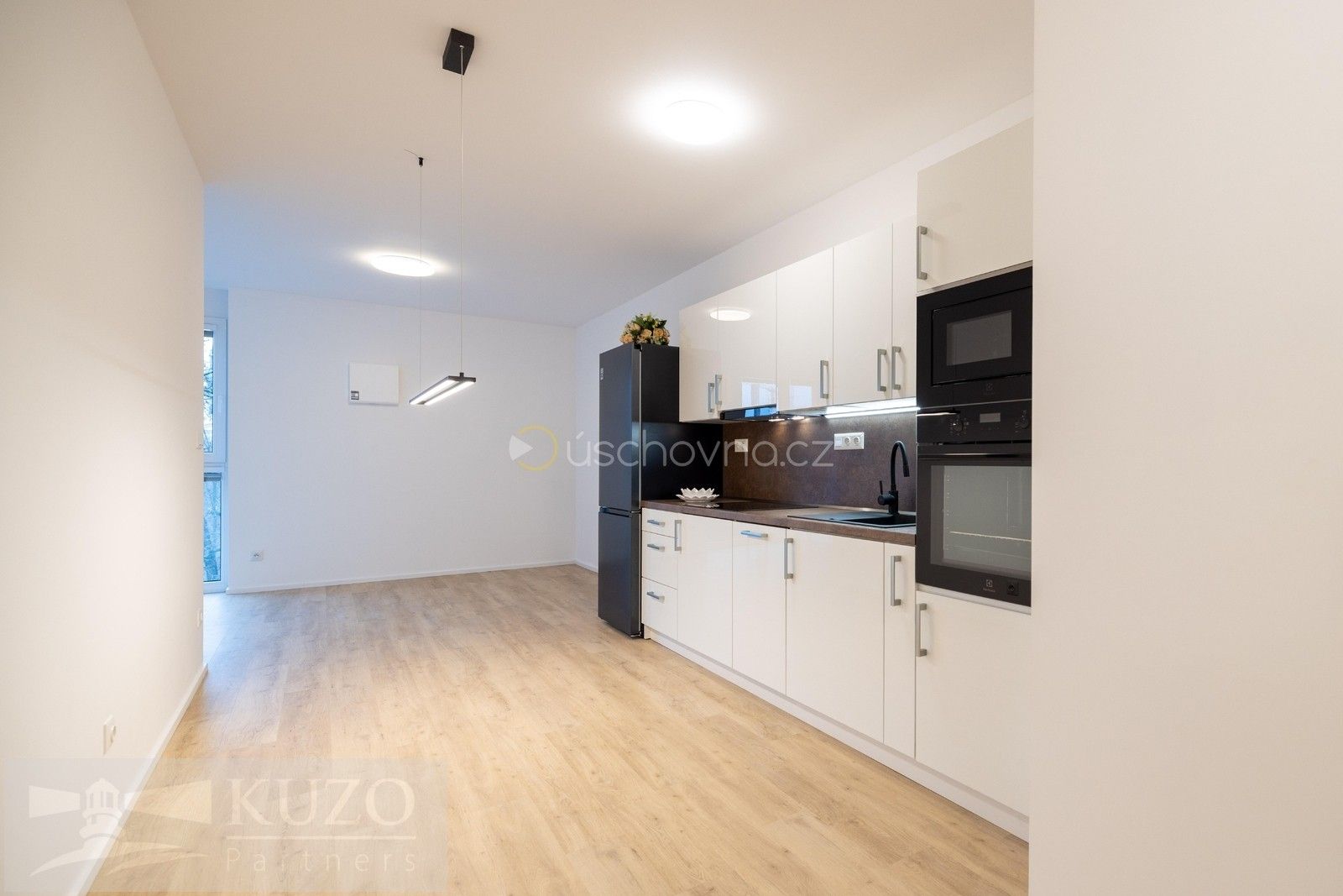 2+kk, Auerswaldova, Brno, 51 m²