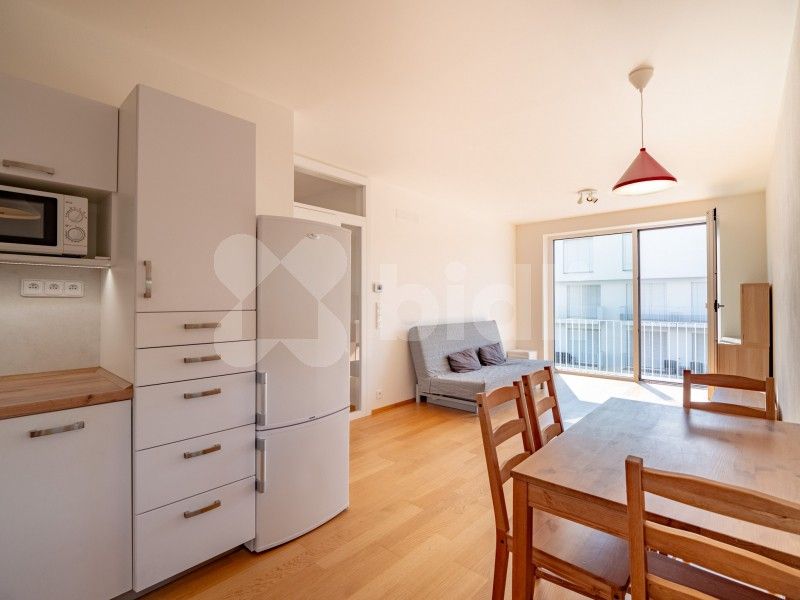 Pronájem byt 2+kk - Studentská, Brno, 53 m²