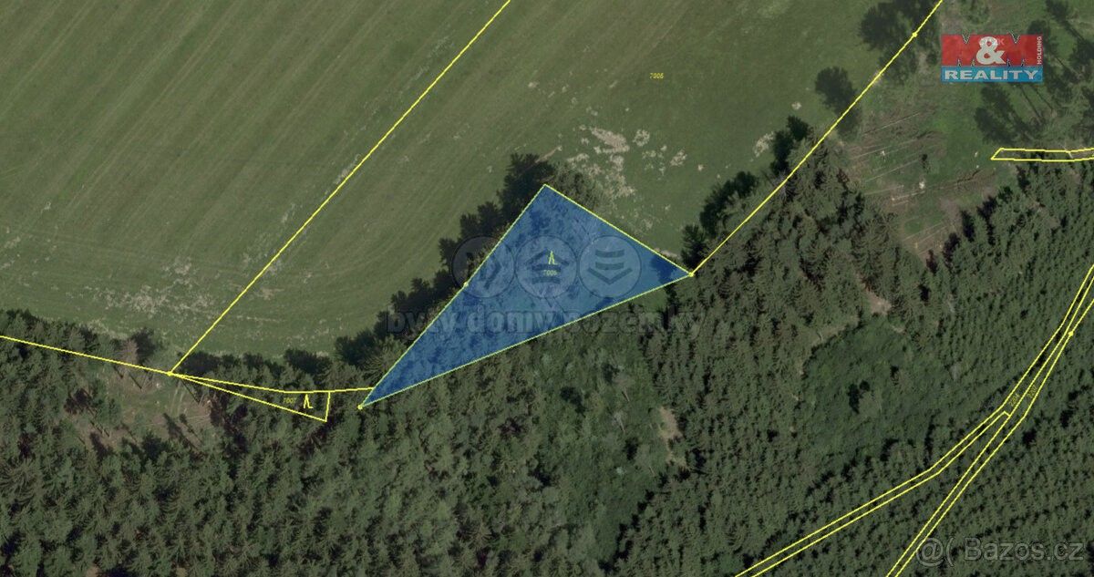 Lesy, Radiměř, 569 07, 10 482 m²