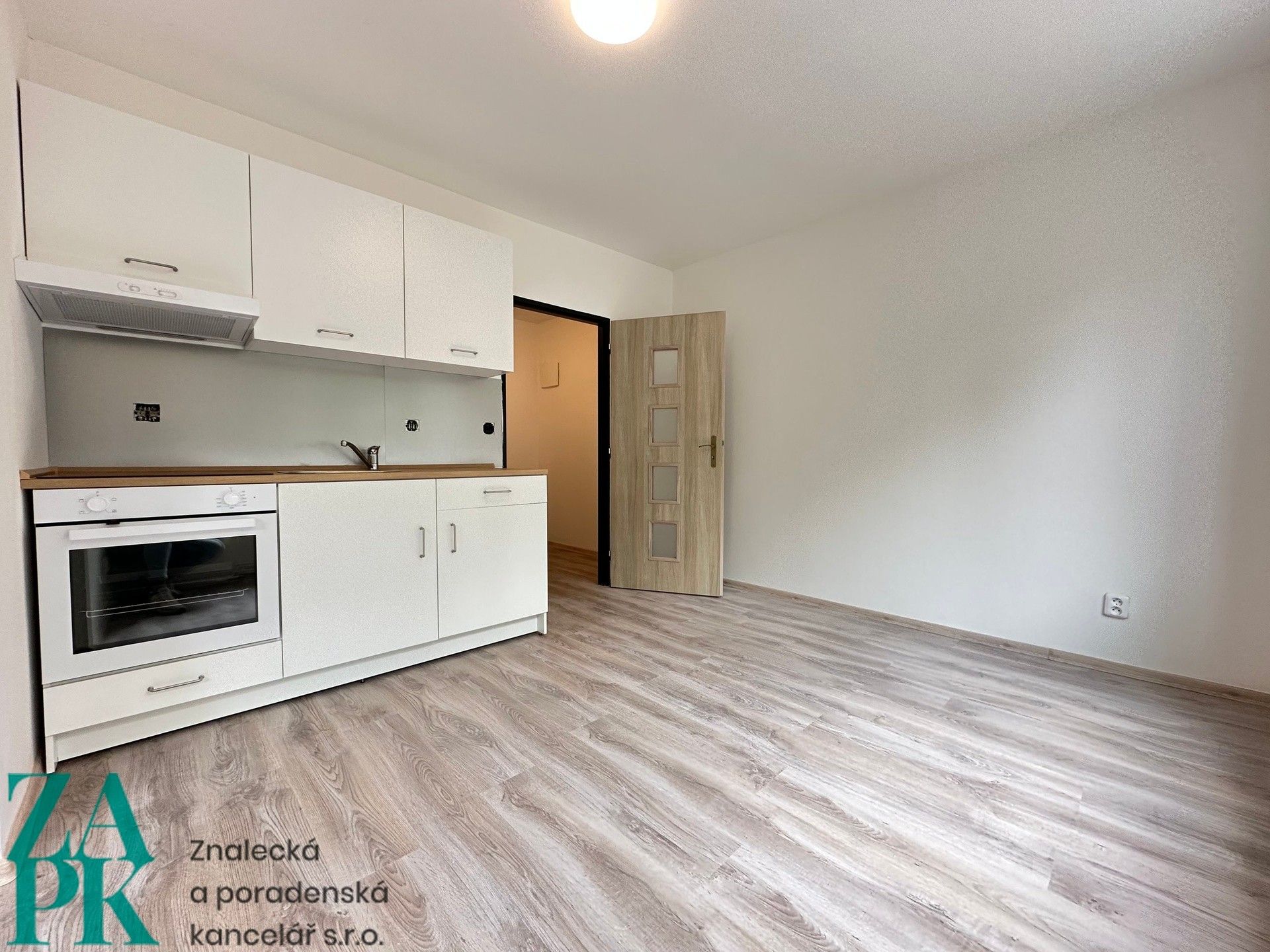 1+1, Purkyňova, Ústí nad Labem, 38 m²