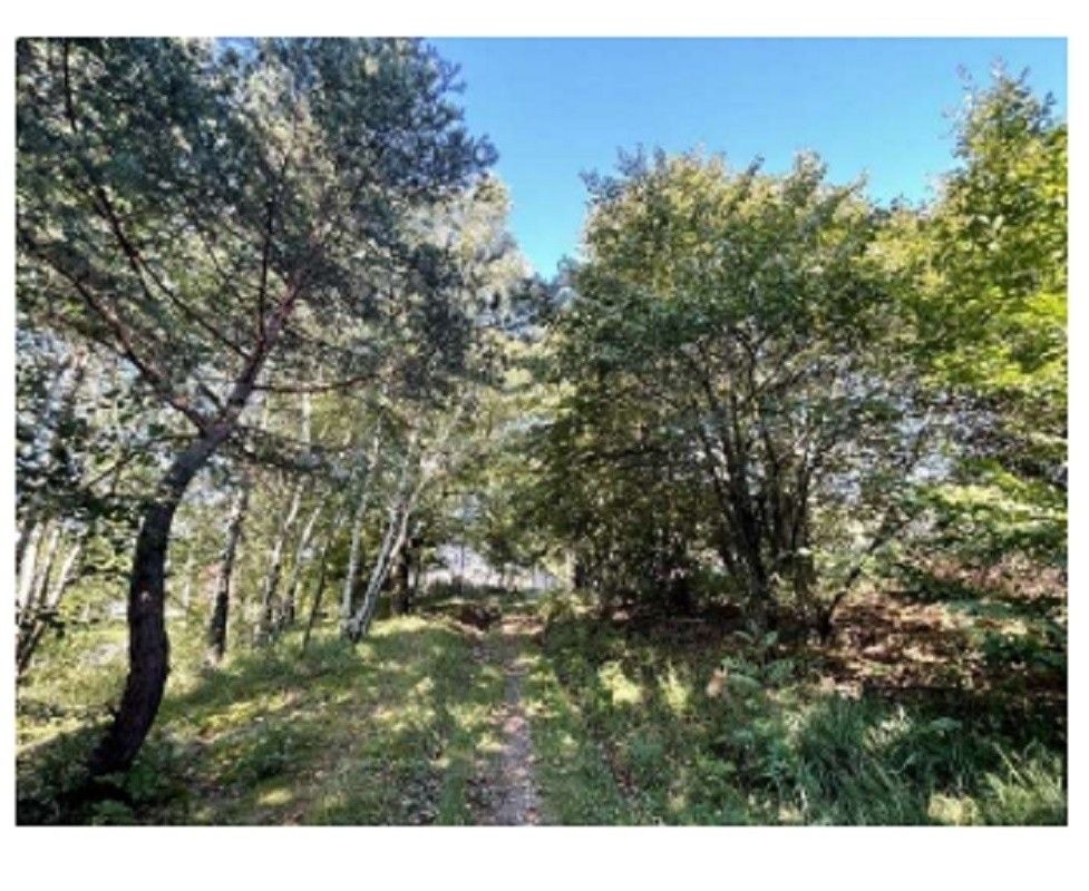 Pozemky pro bydlení, Vsetín, 755 01