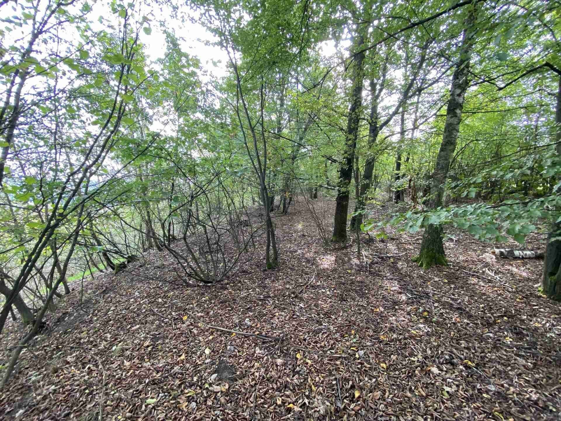 Prodej pozemek - Radobyčice, Plzeň, 764 m²