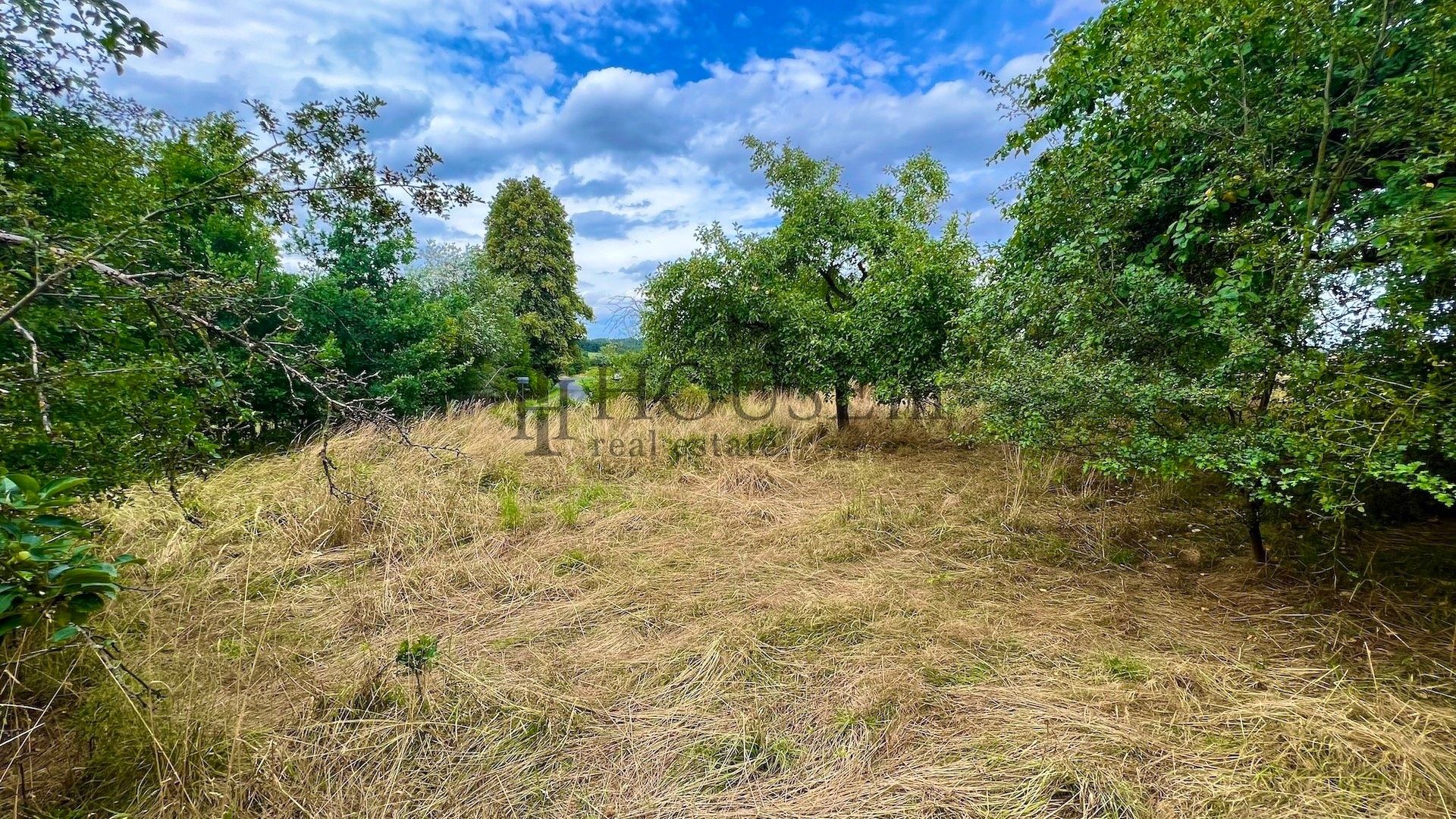 Prodej pozemek pro bydlení - Malonice, Blížejov, 2 410 m²