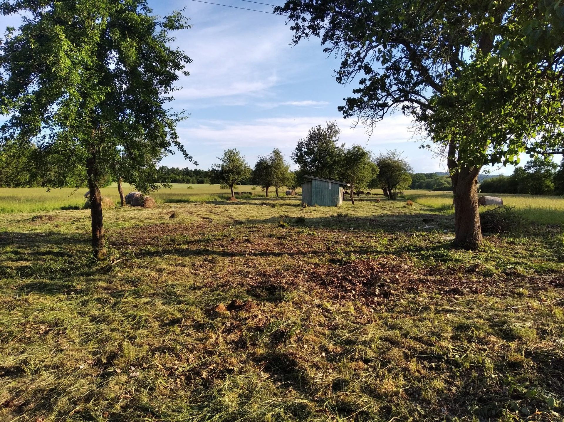 Pronájem zemědělský pozemek - Družstevní, Vodňany, 5 610 m²