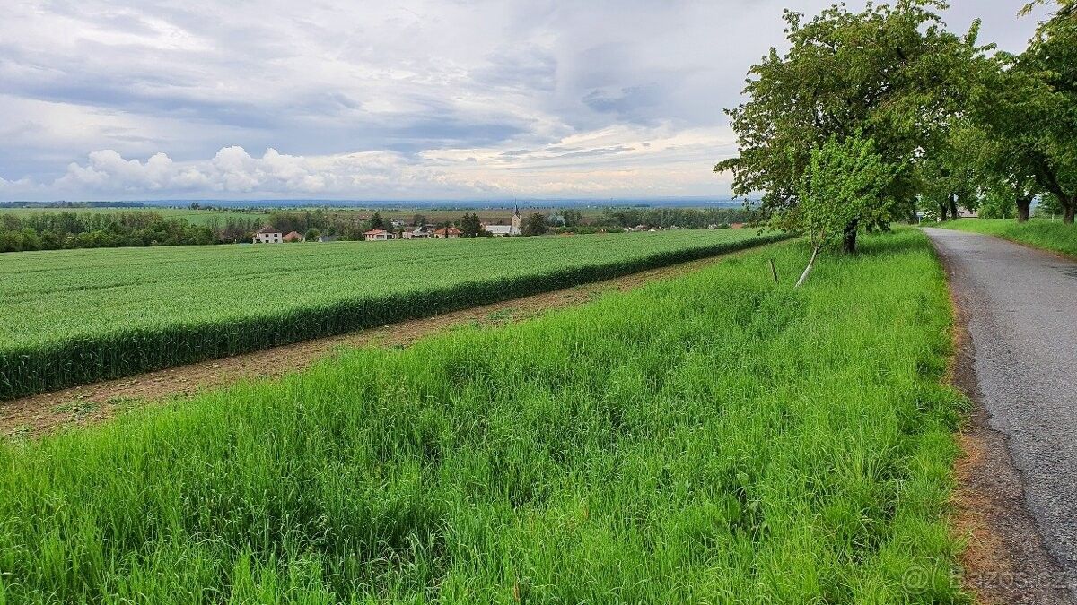 Prodej pozemek - Heřmanův Městec, 538 03, 10 031 m²