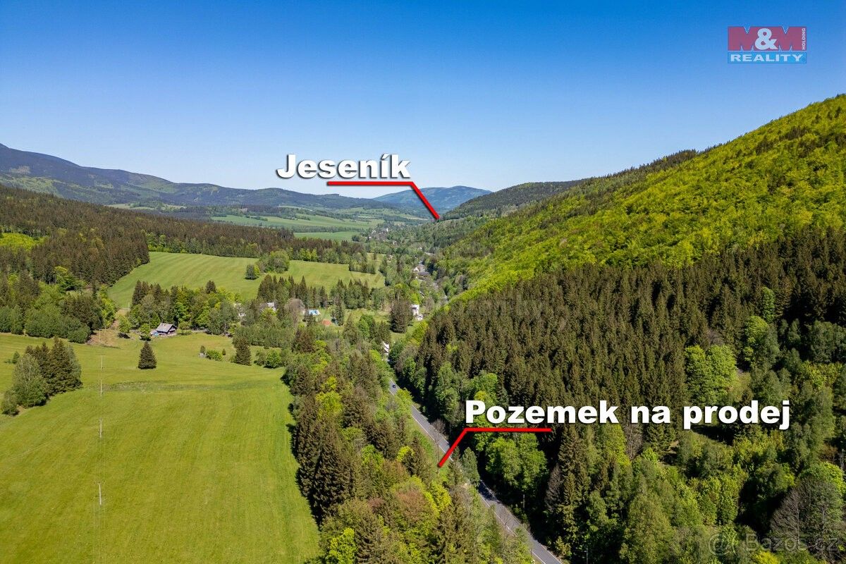 Prodej zahrada - Jeseník, 790 01, 1 350 m²