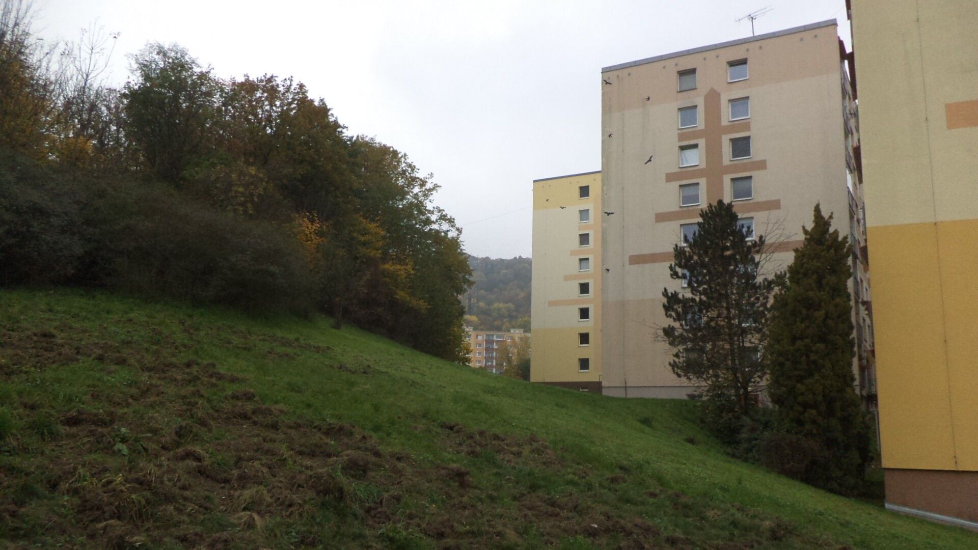 Ostatní, Mojžíř, Ústí nad Labem, 14 m²