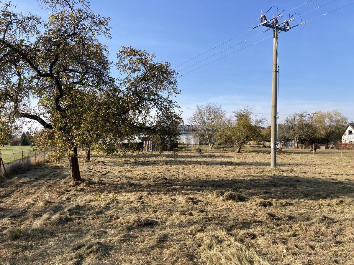 Pronájem zahrada - Chlumec nad Cidlinou, 503 51, 1 100 m²