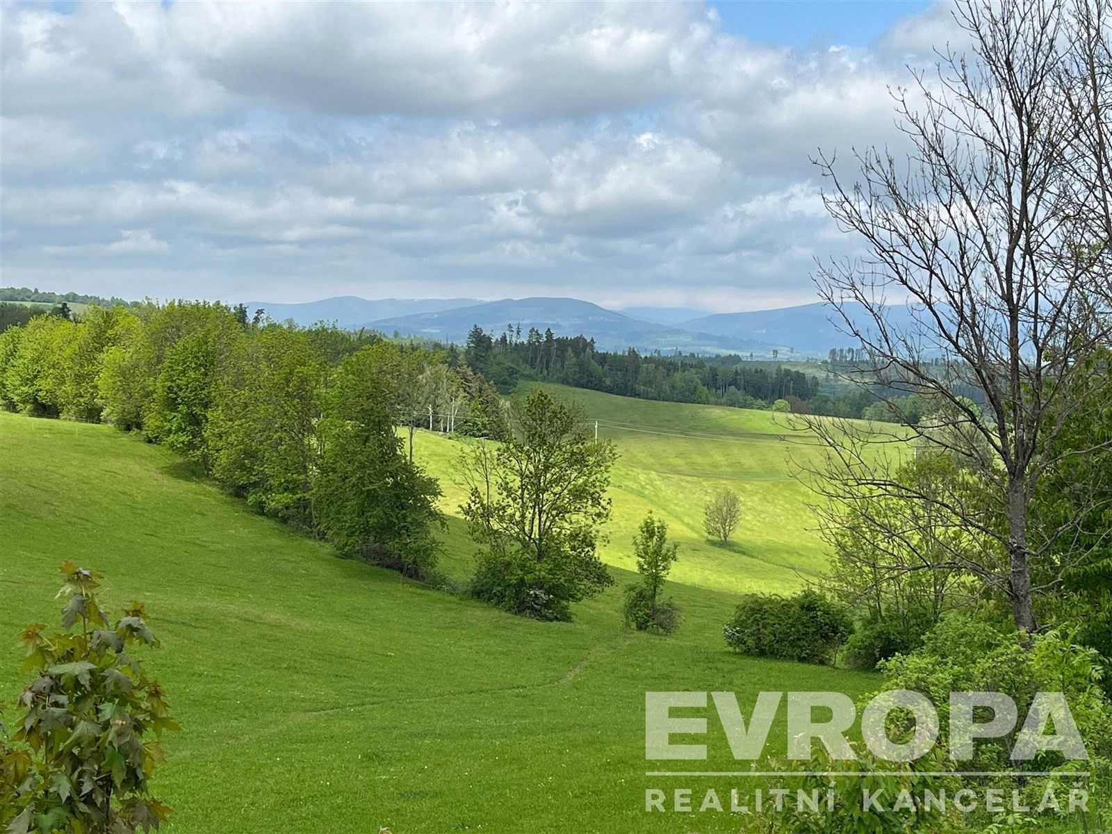 Prodej pozemek - Čistá u Horek