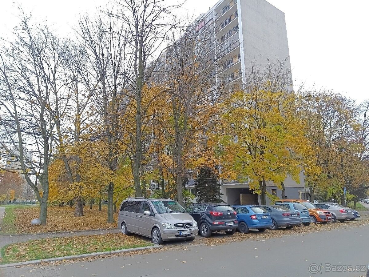 Byty, Pardubice, 530 09