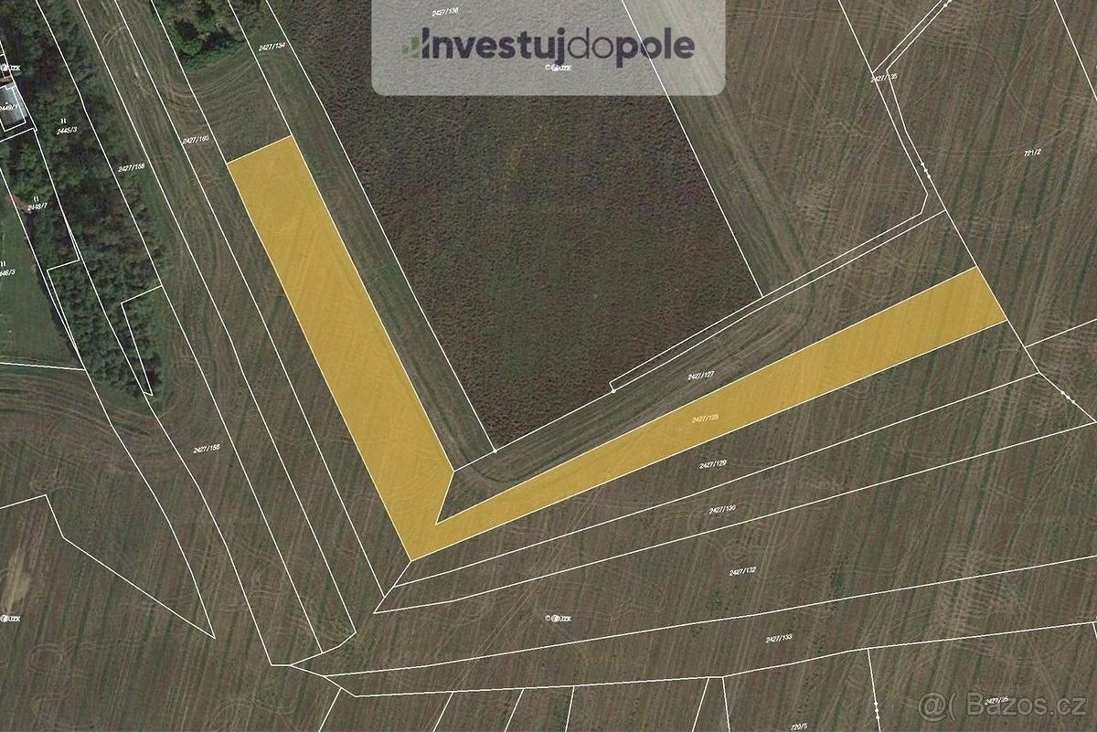 Prodej zemědělský pozemek - Třemošná, 330 11, 7 281 m²