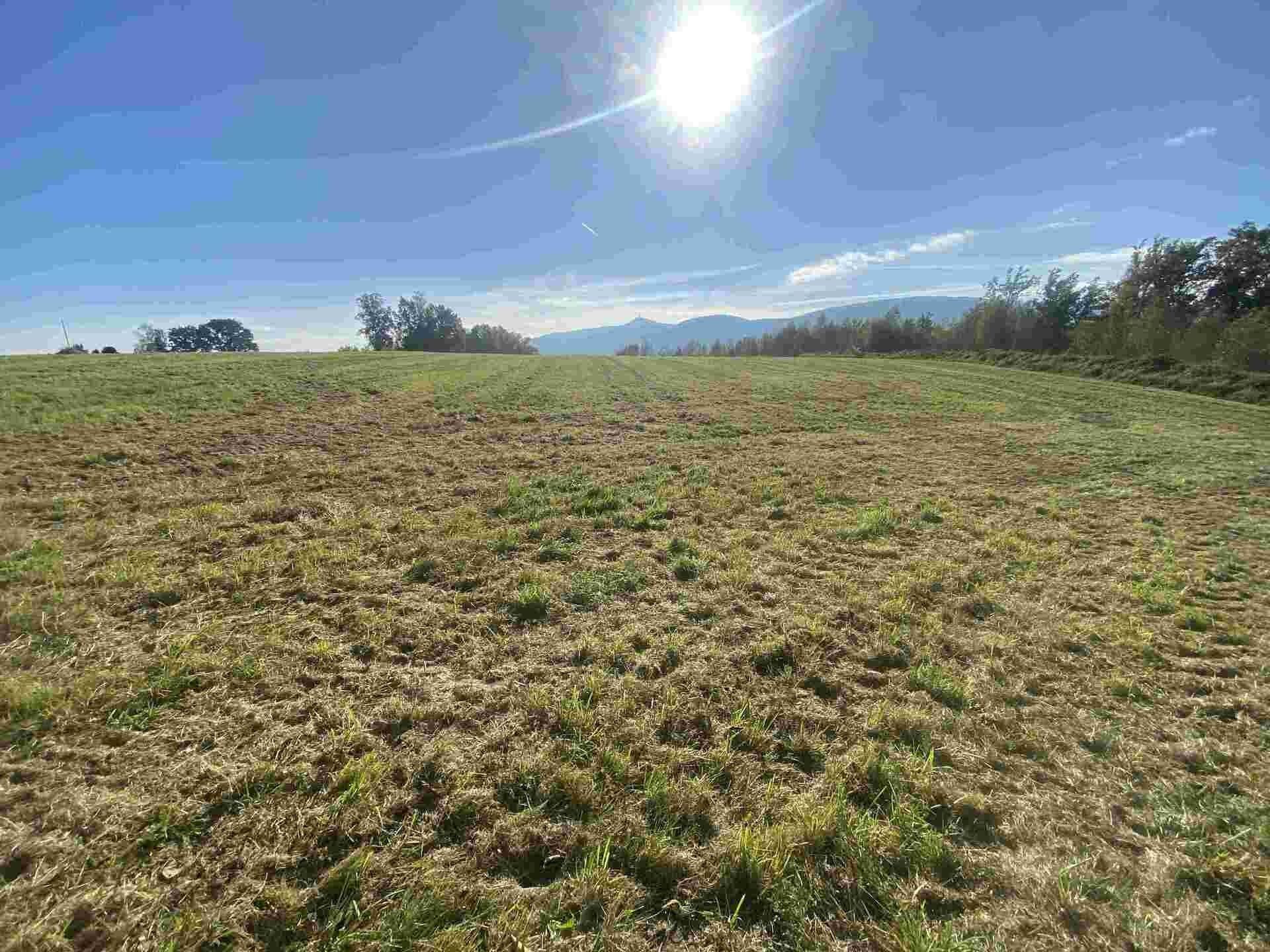 Zemědělské pozemky, Svárov, Stráž nad Nisou, 236 m²