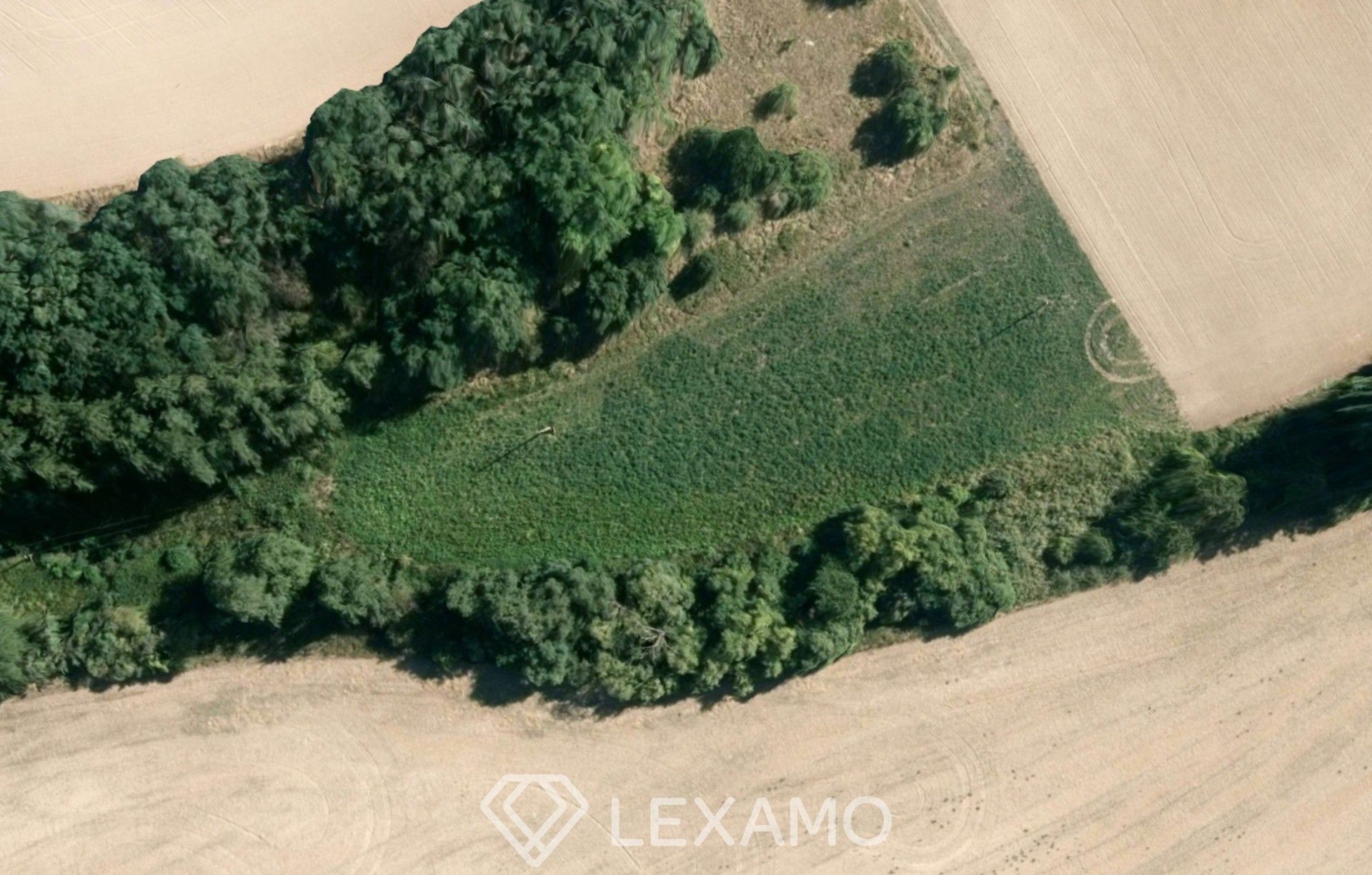 Prodej zemědělský pozemek - Běhařovice