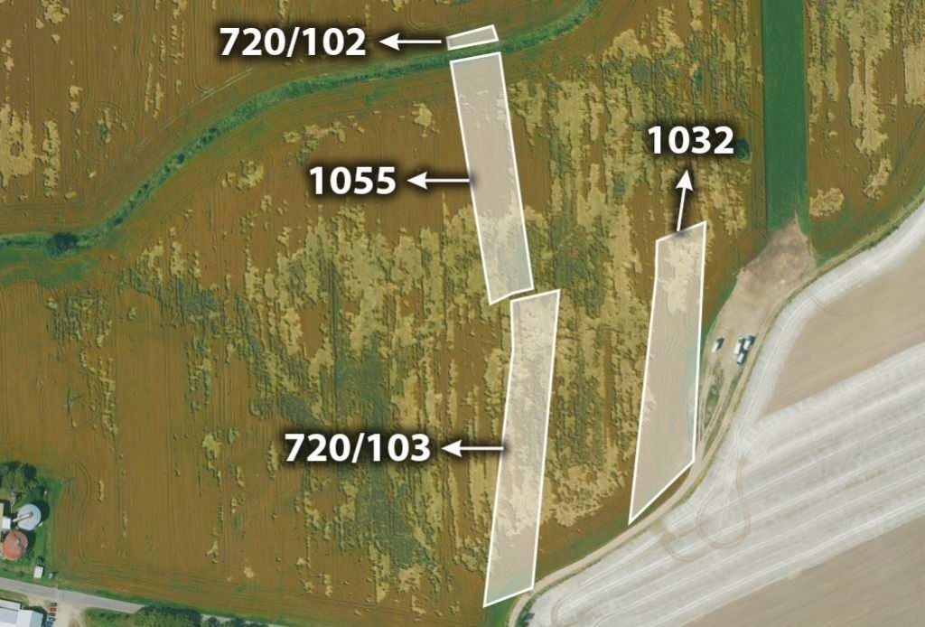 Zemědělské pozemky, Přešťovice, 13 743 m²