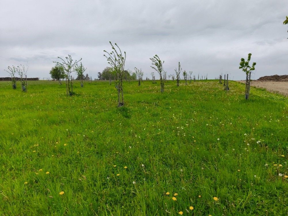 Pozemky pro bydlení, České Budějovice, 370 06