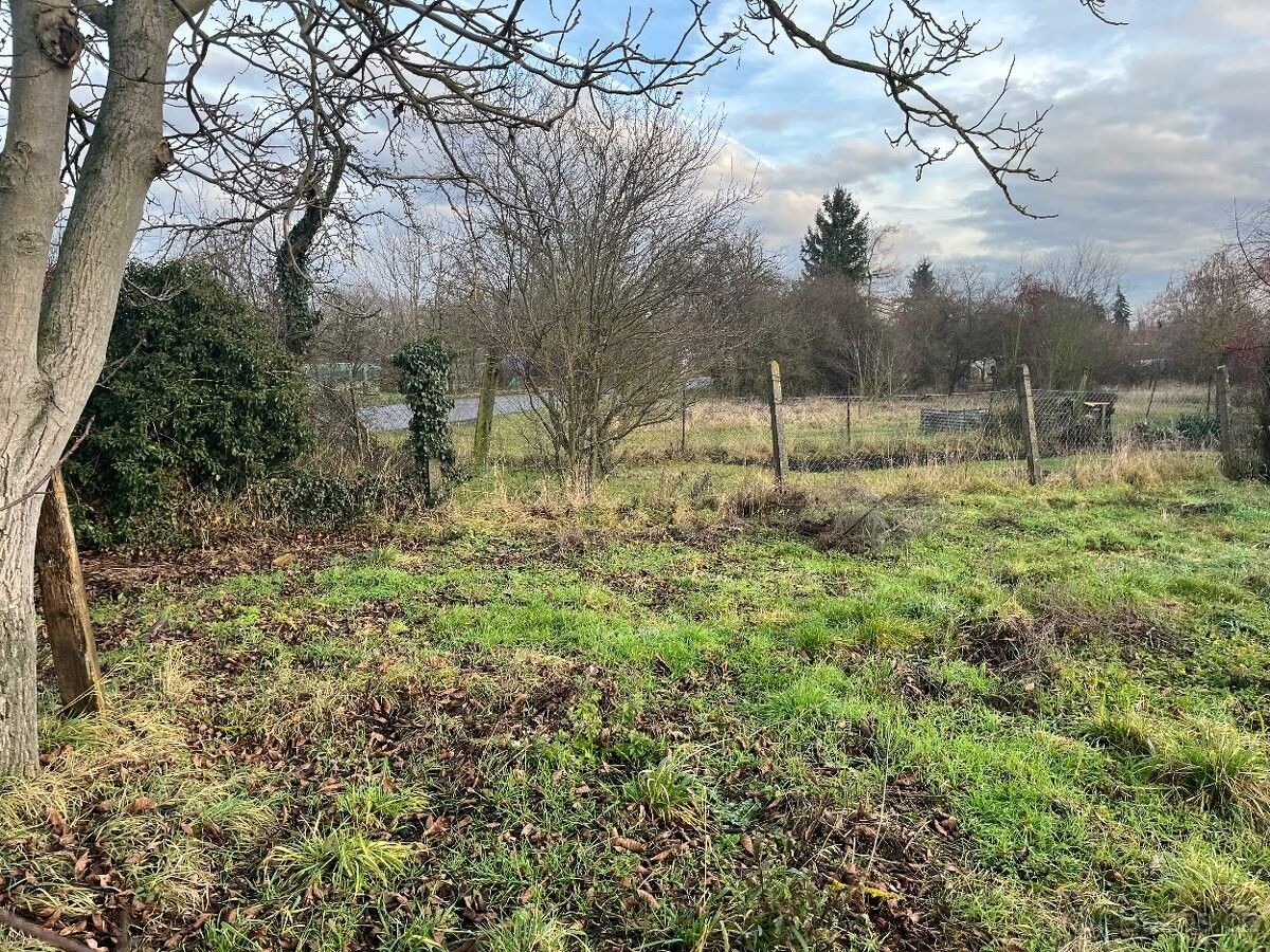 Zahrady, Nymburk, 288 02