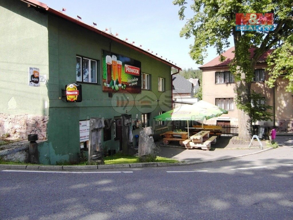 Restaurace, Česká Čermná, 590 m²