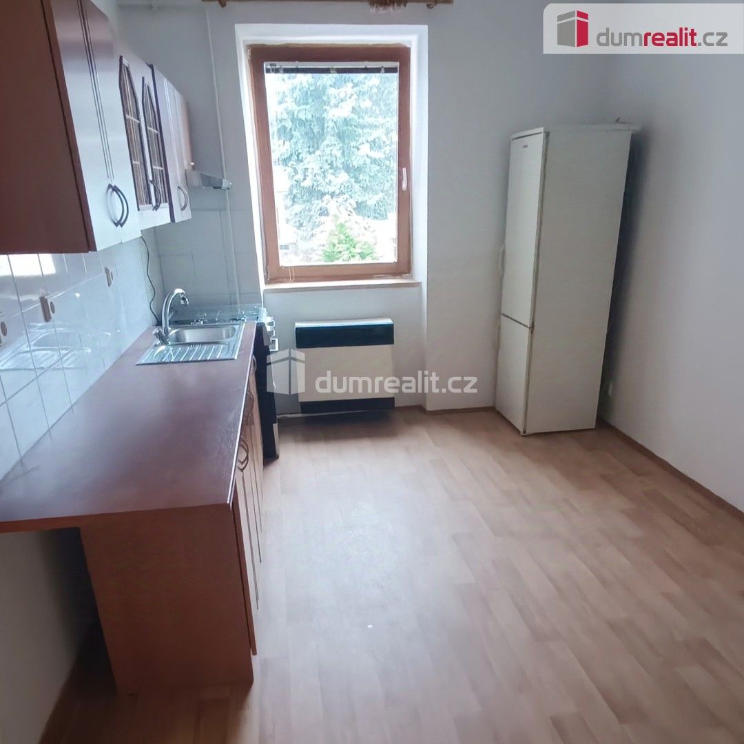 1+1, Fibichova, Děčín, 44 m²