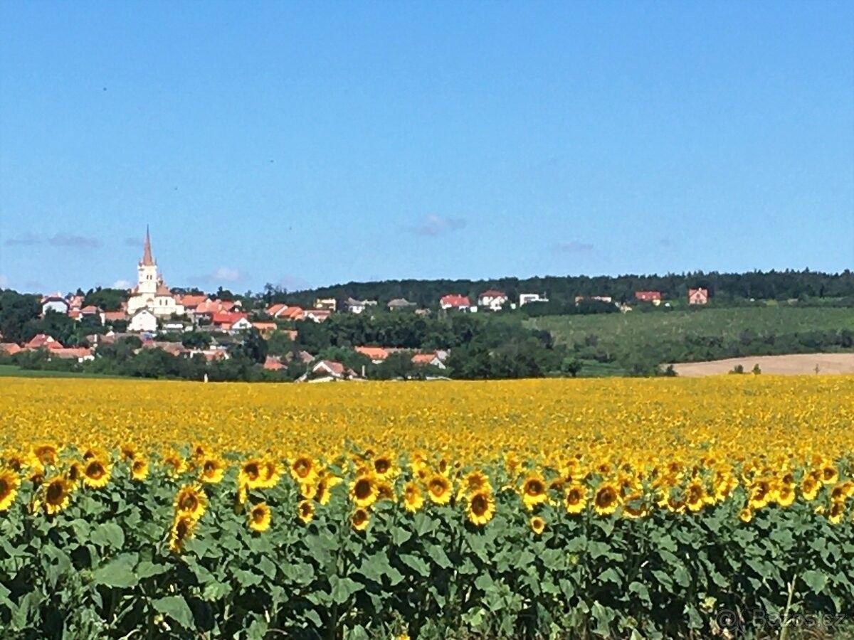 Prodej zahrada - Znojmo, 669 02, 2 285 m²