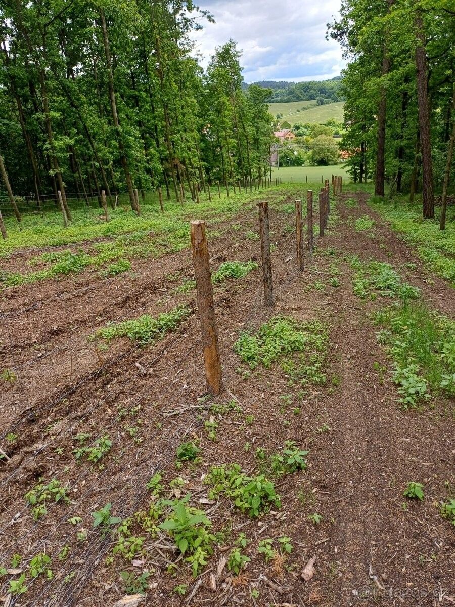 Pozemky pro bydlení, Milevsko, 399 01