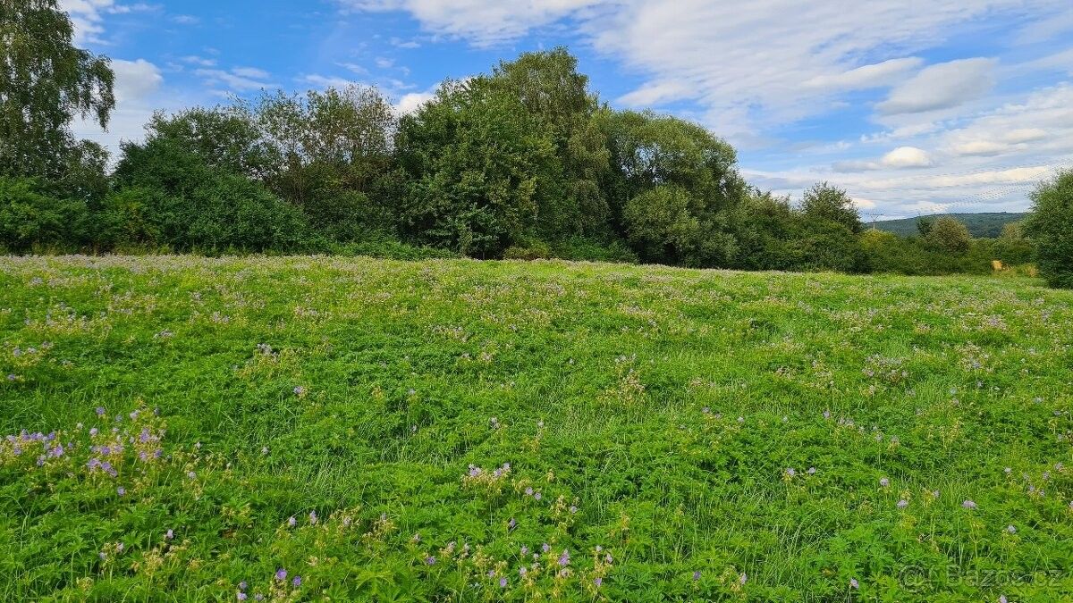 Pronájem louka - Dýšina, 330 02, 2 000 m²