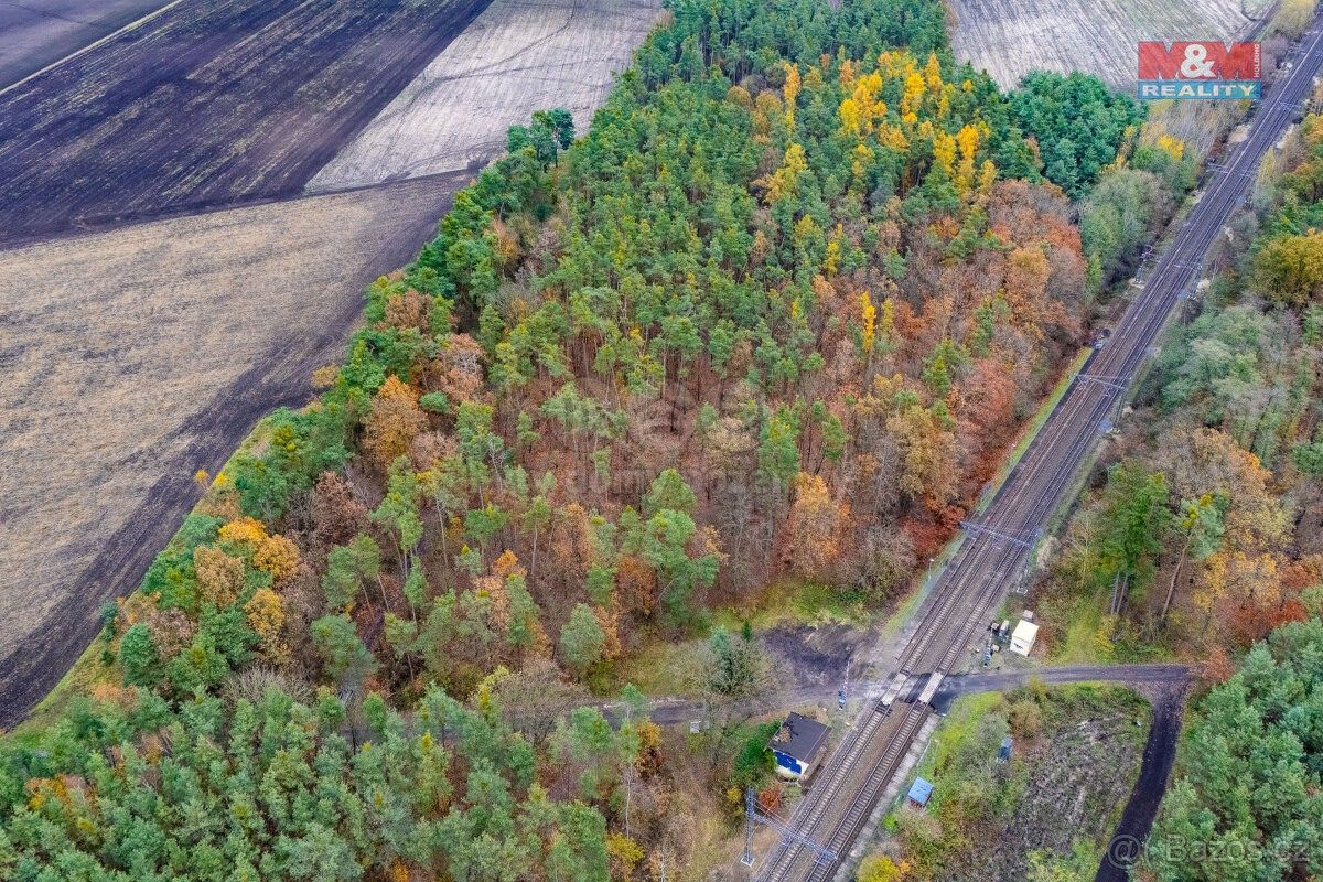 Lesy, Lysá nad Labem, 289 22, 6 436 m²