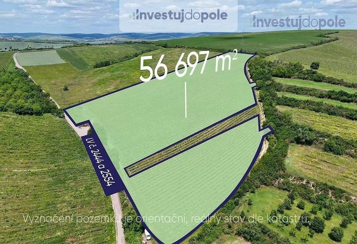 Ostatní, Šardice, 56 697 m²