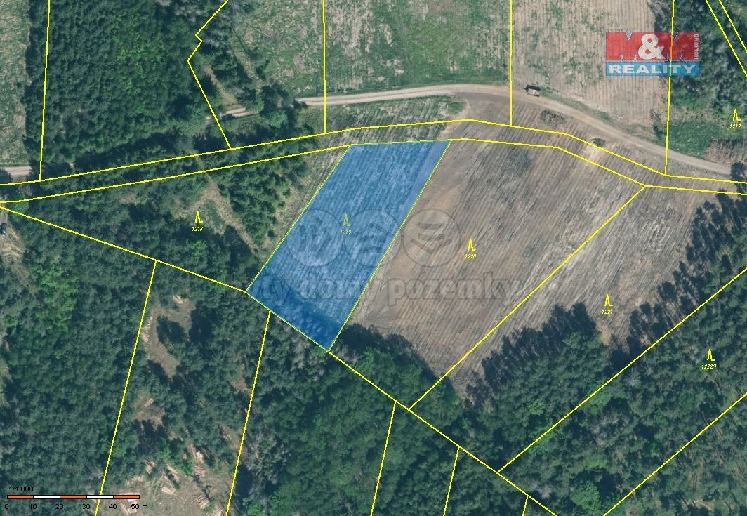 Prodej les - Jetětice, 398 48, 15 115 m²