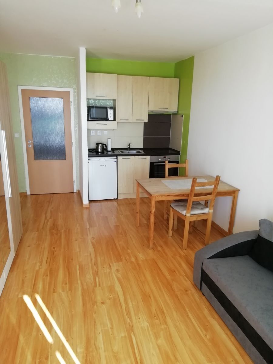 1+kk, Výškovická, Ostrava, 28 m²