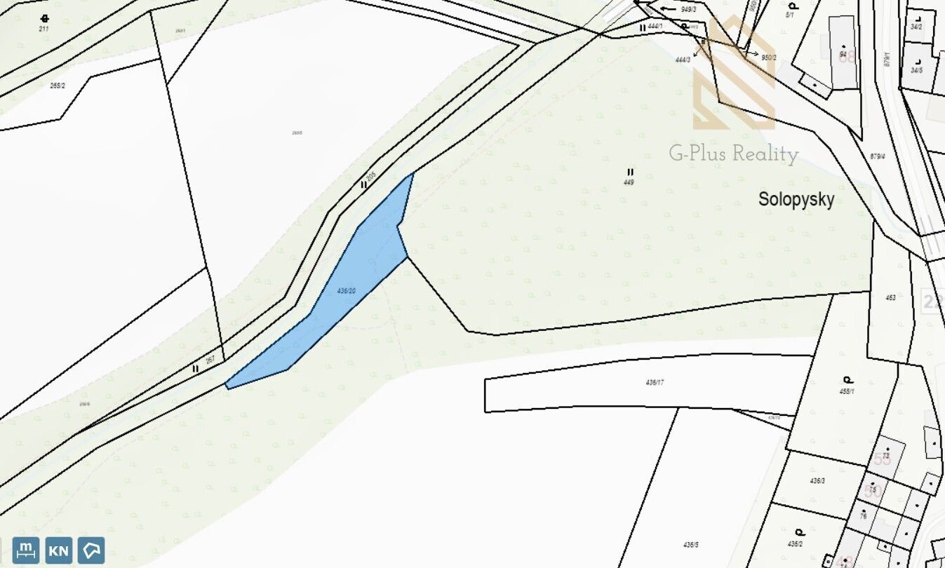 Ostatní, Solopysky, Domoušice, 709 m²