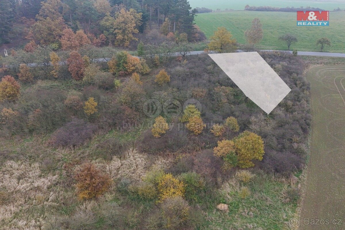 Prodej zemědělský pozemek - Nepomuk, 335 01, 1 163 m²