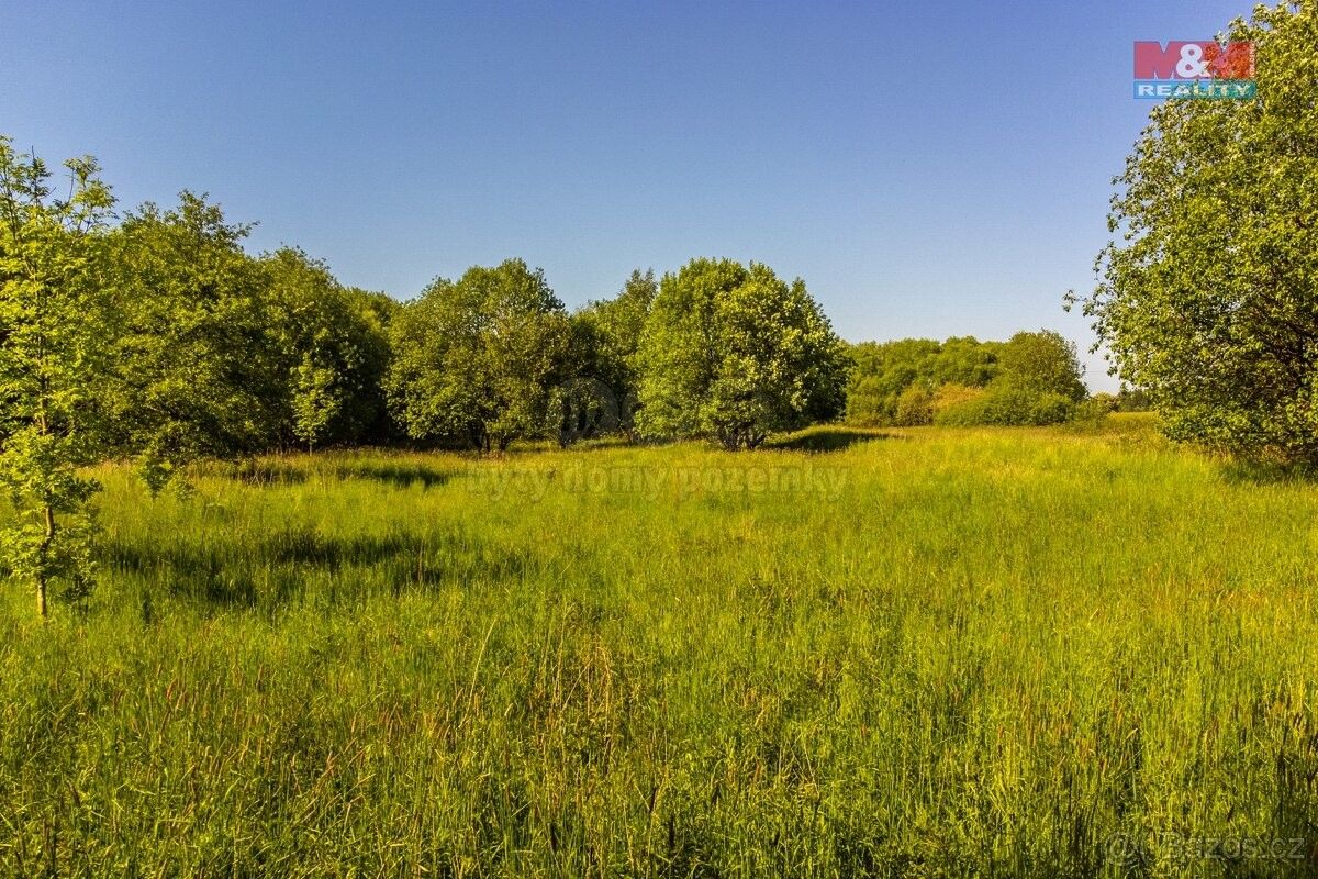 Zemědělské pozemky, Krásná Lípa u Rumburka, 407 46, 124 828 m²