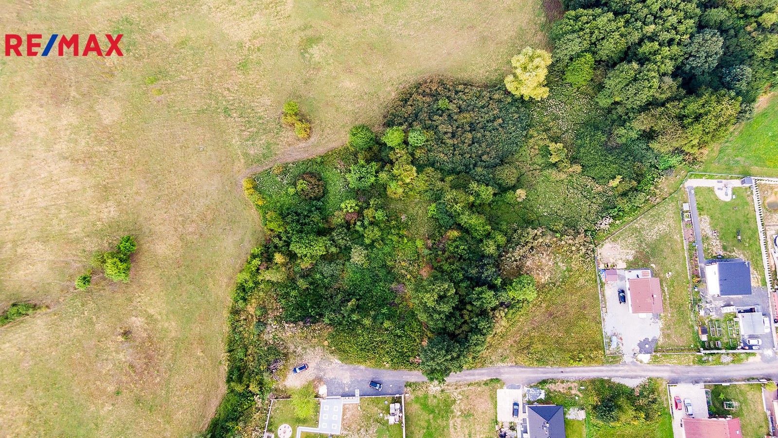 Prodej louka - Česká Lípa, 1 m²